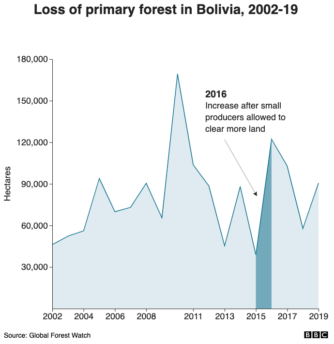 Loss of primary forest in Bolivia, 2002-19