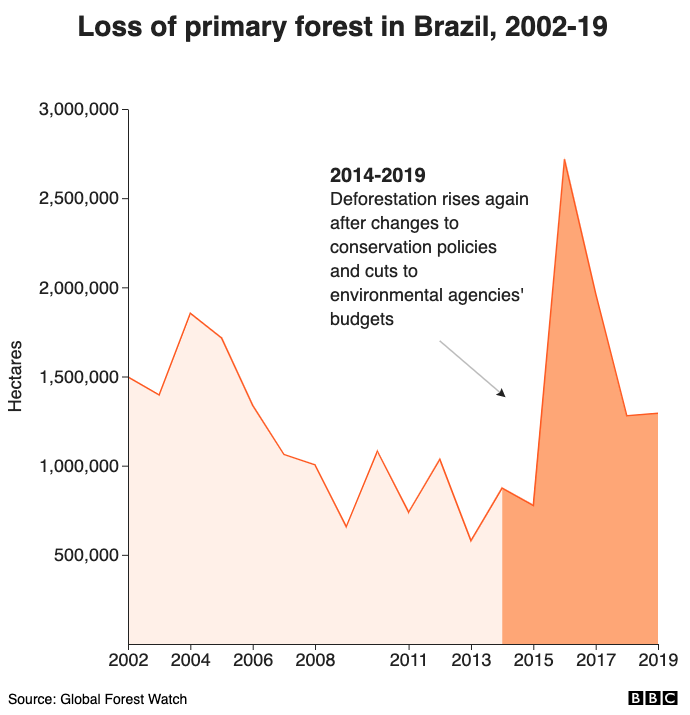 Loss of primary forest in Brazil, 2002-19
