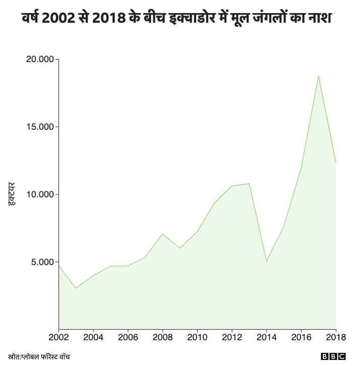 वर्ष 2002 से 2019 के बीच इक्वाडोर में मूल जंगलों का नाश
