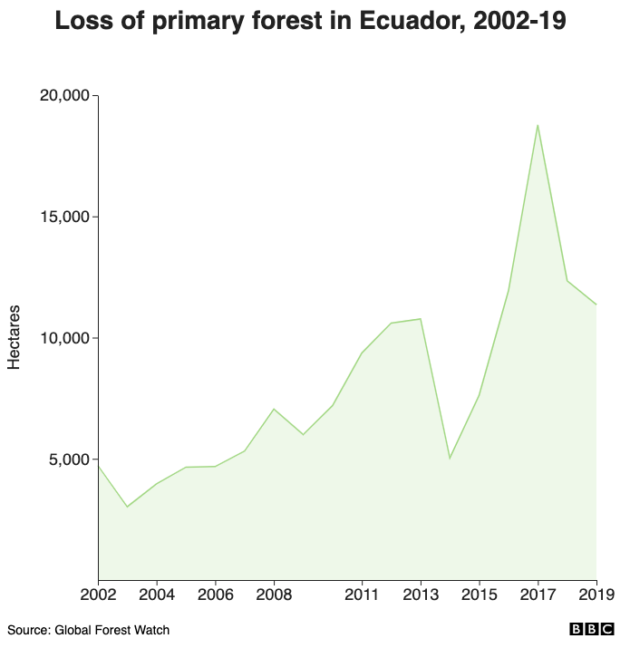 Loss of primary forest in Ecuador, 2002-19