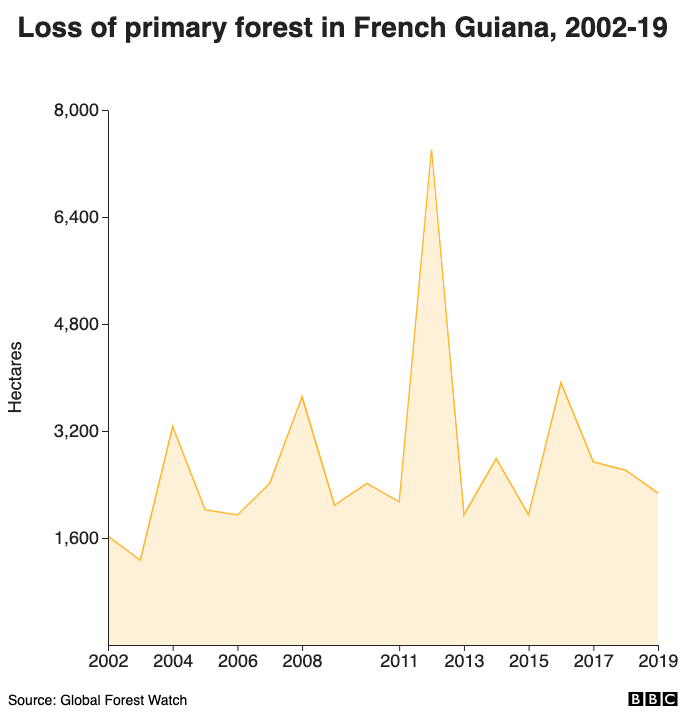 Loss of primary forest in French Guiana, 2002-19