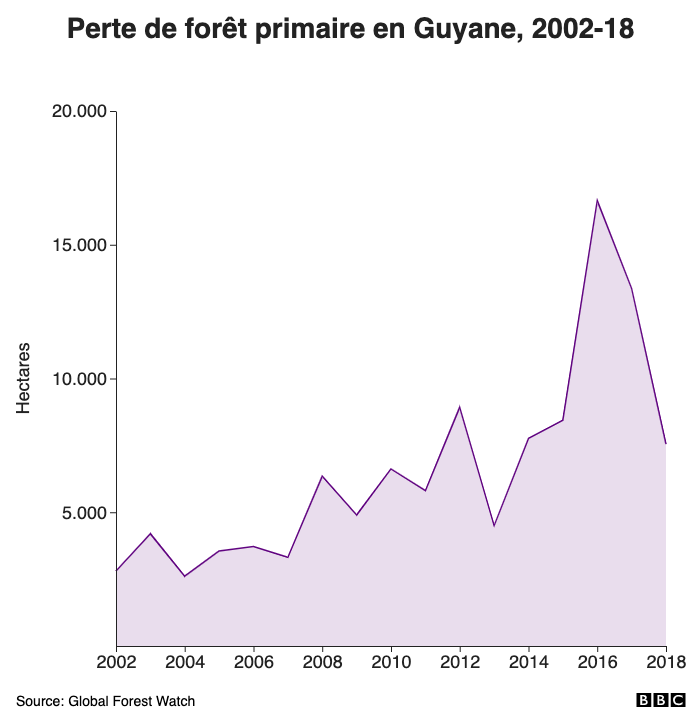 Perte de forêt primaire en Guyane, 2002-19