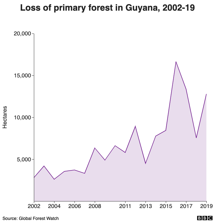 Loss of primary forest in Guyana, 2002-19