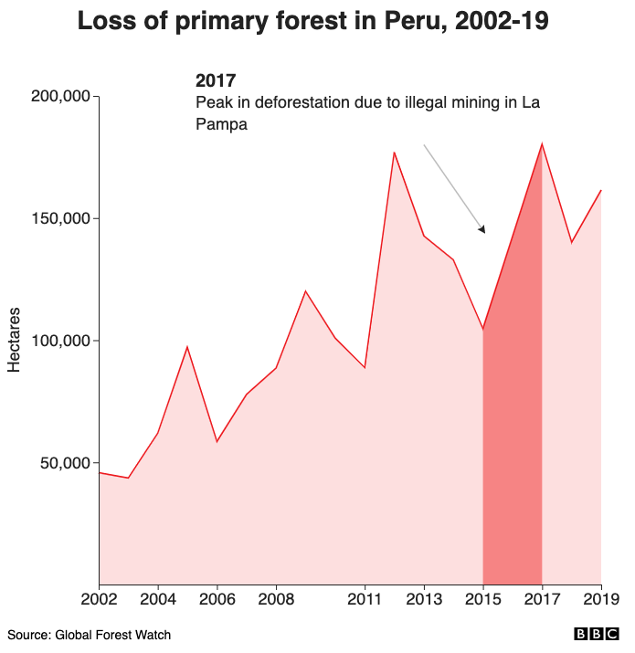 Loss of primary forest in Peru, 2002-19