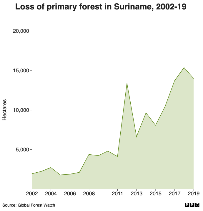 Loss of primary forest in Suriname, 2002-19