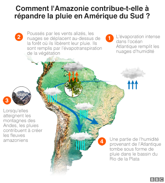 Graphique montrant comment l'Amazone répartit la pluie en Amérique du Sud : 1 : Une importante évaporation dans l'océan Atlantique remplit les nuages d'humidité 2 : Poussés par les alizés, les nuages se déplacent au-dessus de la forêt où ils libèrent leur pluie. Ils sont remplis par l'évapotranspiration de la végétation 3 : En atteignant les montagnes, les pluies contribuent à créer les rivières amazoniennes, 4 : Une partie de l'humidité provenant de l'Atlantique tombe sous forme de pluie dans le bassin du Rio de la Plata