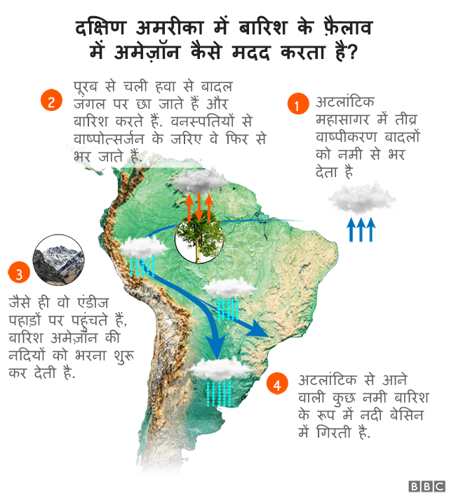 अमेज़न जैविक क्षेत्र किस तरह से दक्षिणी अमेरिका में वर्षा का वितरण करता है, ये दिखाने वाला ग्राफिक:1.अटलांटिक क्षेत्र में भयंकर वाष्पीकरण से बादलों में नमी भर जाती है. 2. तेज़ हवाएं चलने लगती हैं, जिसके कारण ये नमी वाले बादल जंगल के ऊपर पहुंच कर बारिश करते हैं. जंगलों में मौजूद पेड़ पौधों के वाष्पोत्सर्जन से बादलों में दोबारा नमी इकट्ठी हो जाती है. 3. जब ये बादल पहाड़ों के ऊपर पहुंचते हैं, तो बारिश से अमेज़न में बहने वाली नदियां पैदा होती हैं. 4. अटलांटिक महासागर से जो नमी बादलों में इकट्ठी होती है, उसका कुछ हिस्सा बारिश के तौर पर रिवर प्लेट बेसिन पर गिरता है.
