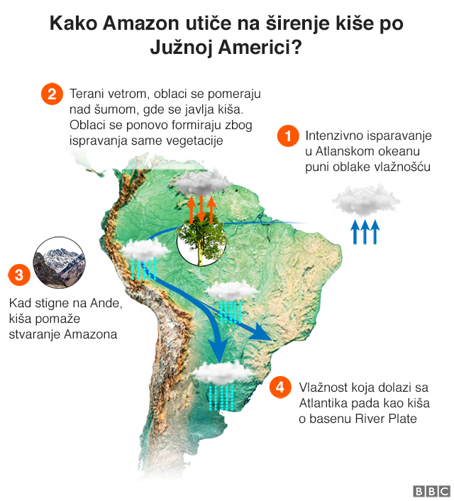 Grafikon koji pokazuje kako Amazon utiče na raspodelu kiše po Južnoj Americi: 1: Intenzivno isparavanje u Atlantskom okeanu puni oblake vlagom 2: Gurani pasatnim vetrovima, oblaci se nadvijaju nad šume gde ispuštaju kišu. Zauzvrat se pune vlagom koja isparava iz vegetacije 3: Kad stignu do planina, kiše pomažu da nastanu reke Amazona, 4: Nešto od vlage koja dolazi iz Atlantika padne kao kiša na basen Rio de la Plate.