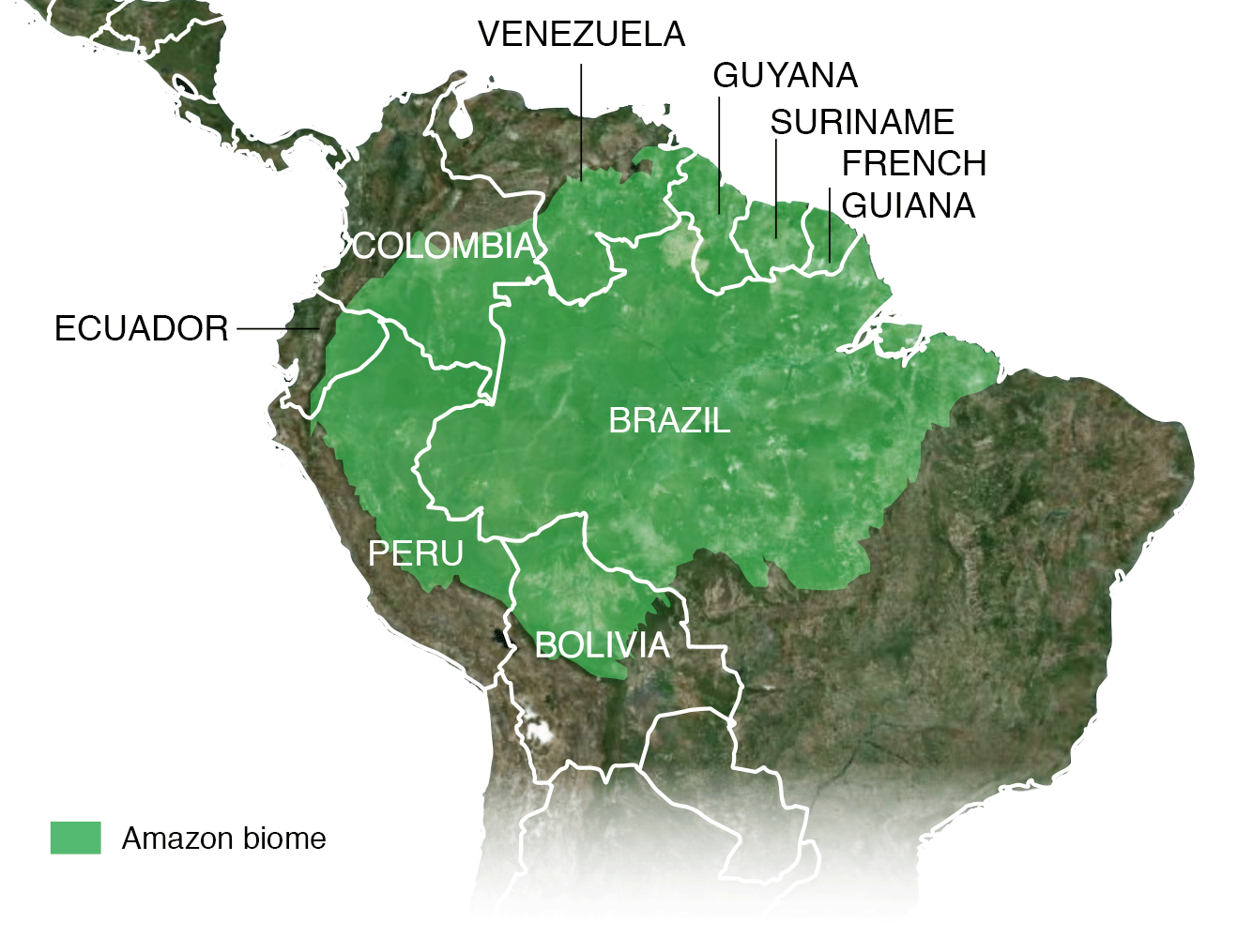 Карта биома Амазонки, включая Перу, Боливию, Эквадор, Колумбию, Гайану, Суринам, Французскую Гвиану, Бразилию и Венесуэлу