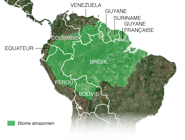 Carte du biome amazonien comprenant le Pérou, la Bolivie, l'Équateur, la Colombie, la Guyane, le Suriname, la Guyane française, le Brésil et le Venezuela