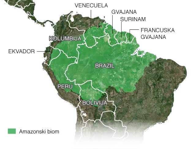 Mapa Amazonskog bioma na kojoj su Peru, Bolivija, Ekvador, Kolumbija, Gvajana, Surinam, Francuska Gvajana, Brazil i Venecuela