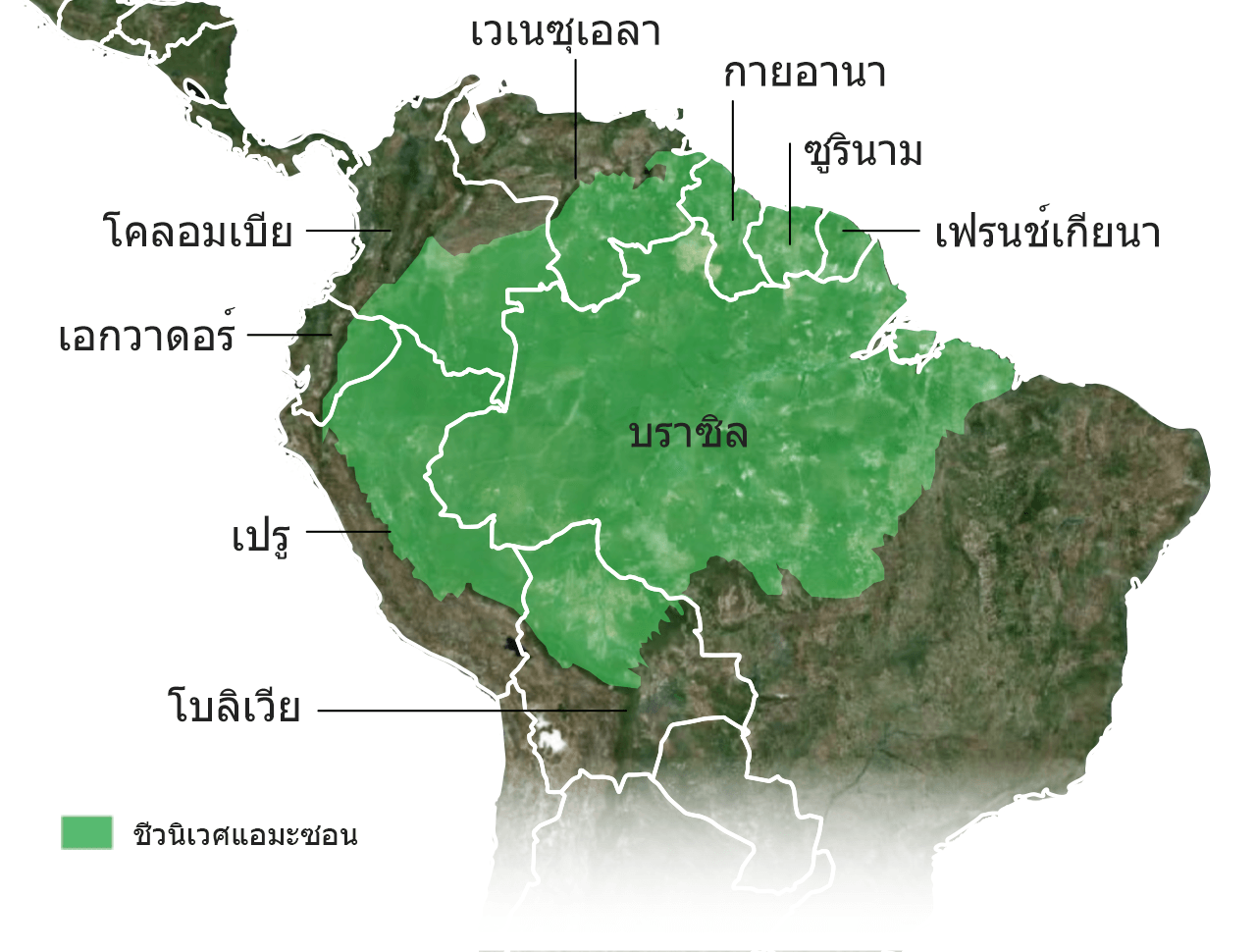 แผนที่ของชีวนิเวศแอมะซอน ซึ่งครอบคลุมเขตแดนของประเทศเปรู โบลิเวีย เอกวาดอร์ โคลอมเบีย กายอานา ซูรินาม บราซิล เวเนซุเอลา และดินแดนเฟรนช์เกียนา