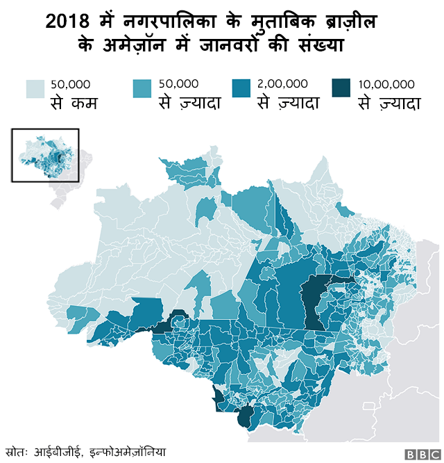 ब्राज़ील में पालतू जानवरों की संख्या बताने वाला ग्राफिक्स