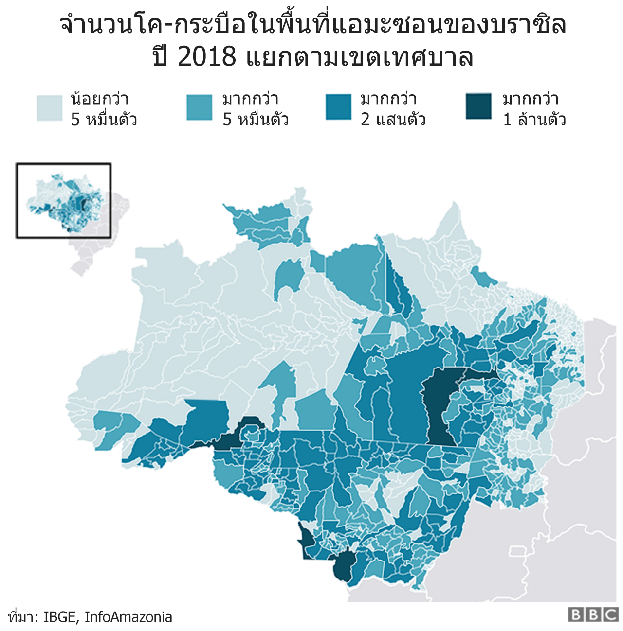 แผนภาพแสดงจำนวนวัวในพื้นที่แอมะซอนของบราซิล ปี 2018 แยกตามเขตเทศบาล