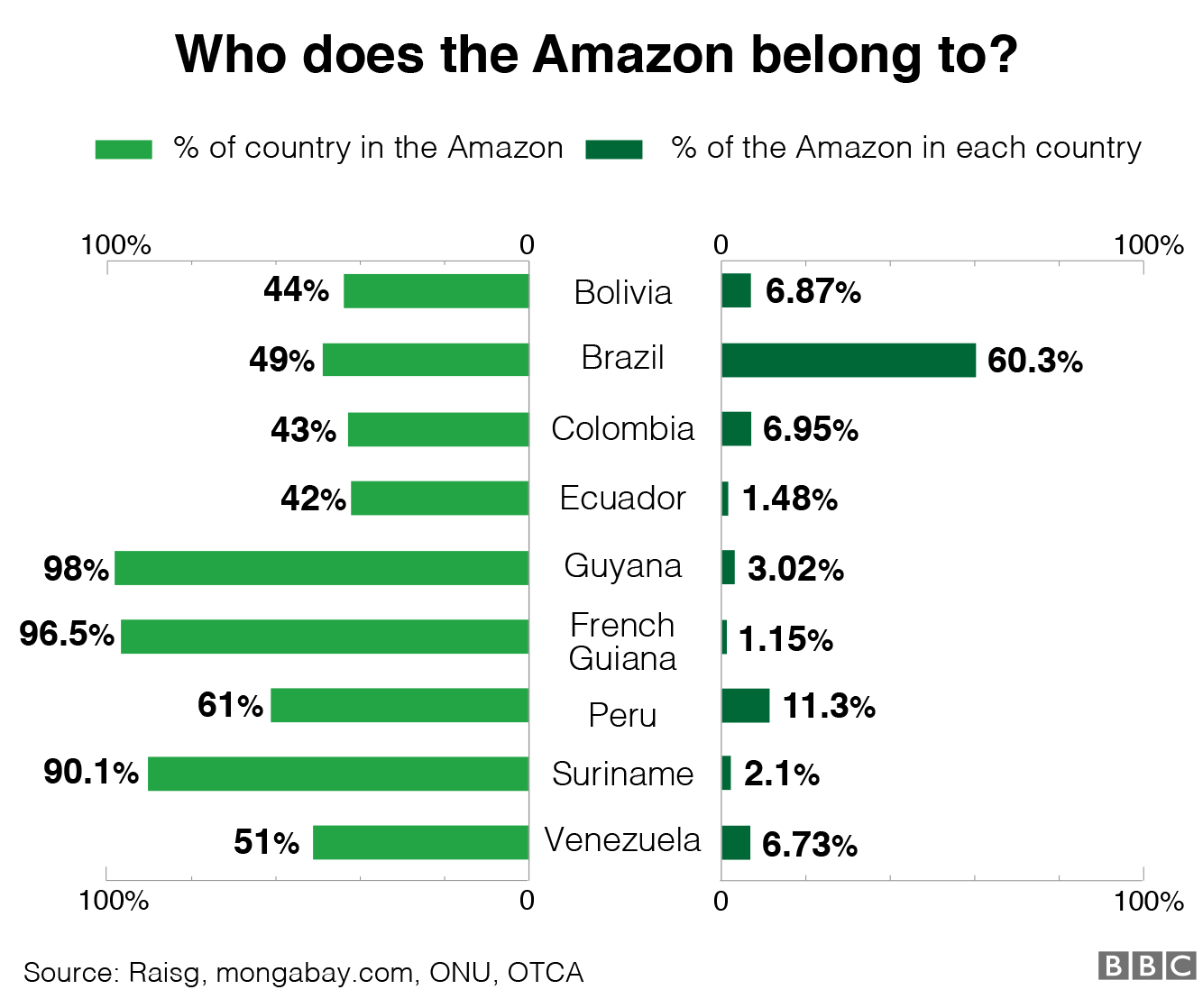 Graphic showing how much of the Amazon belongs to each country