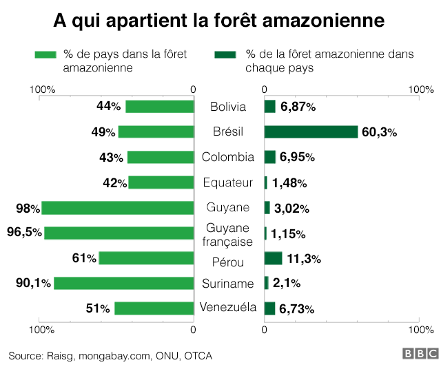 Graphique montrant la portion de l'Amazonie qui appartient à chaque pays