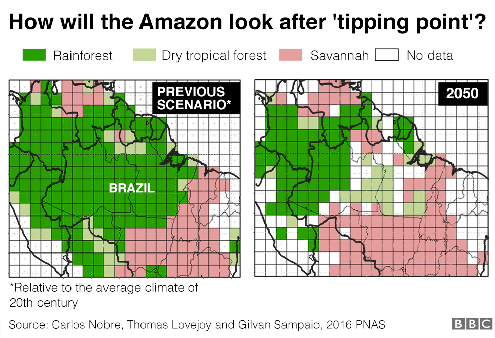 Images show how vegetation in the Amazon would look after tipping point