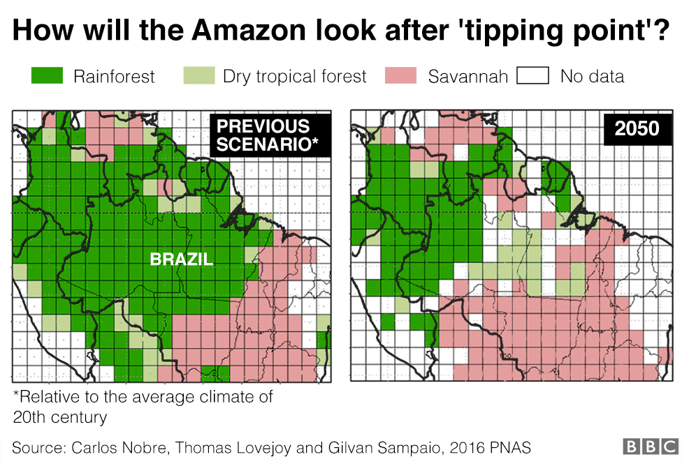 Изображения показывают, как будет выглядеть растительность Амазонки после переломного момента