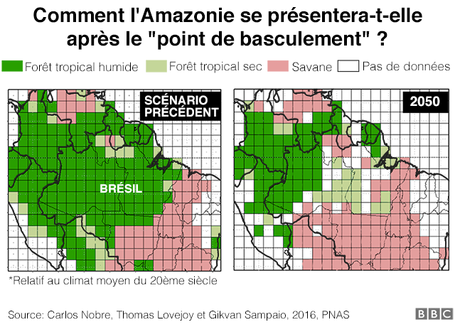 Les images montrent comment la végétation de l'Amazonie se comporterait après le point de bascule