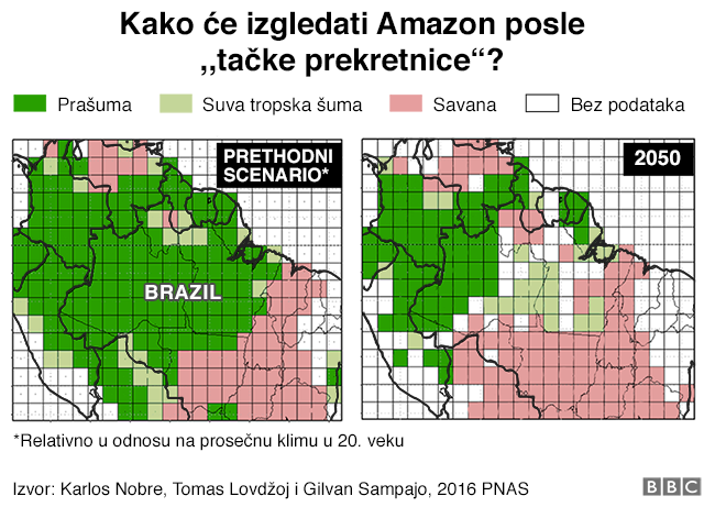 Slike kako će vegetacija u Amazonu izgledati posle tačke preokreta