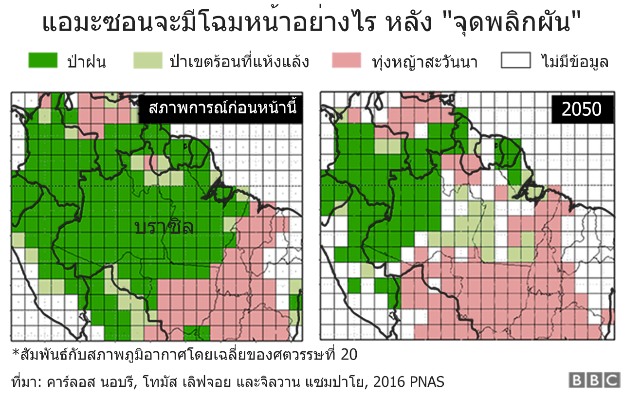 แอมะซอนจะมีโฉมหน้าอย่างไรหลัง "จุดพลิกผัน"