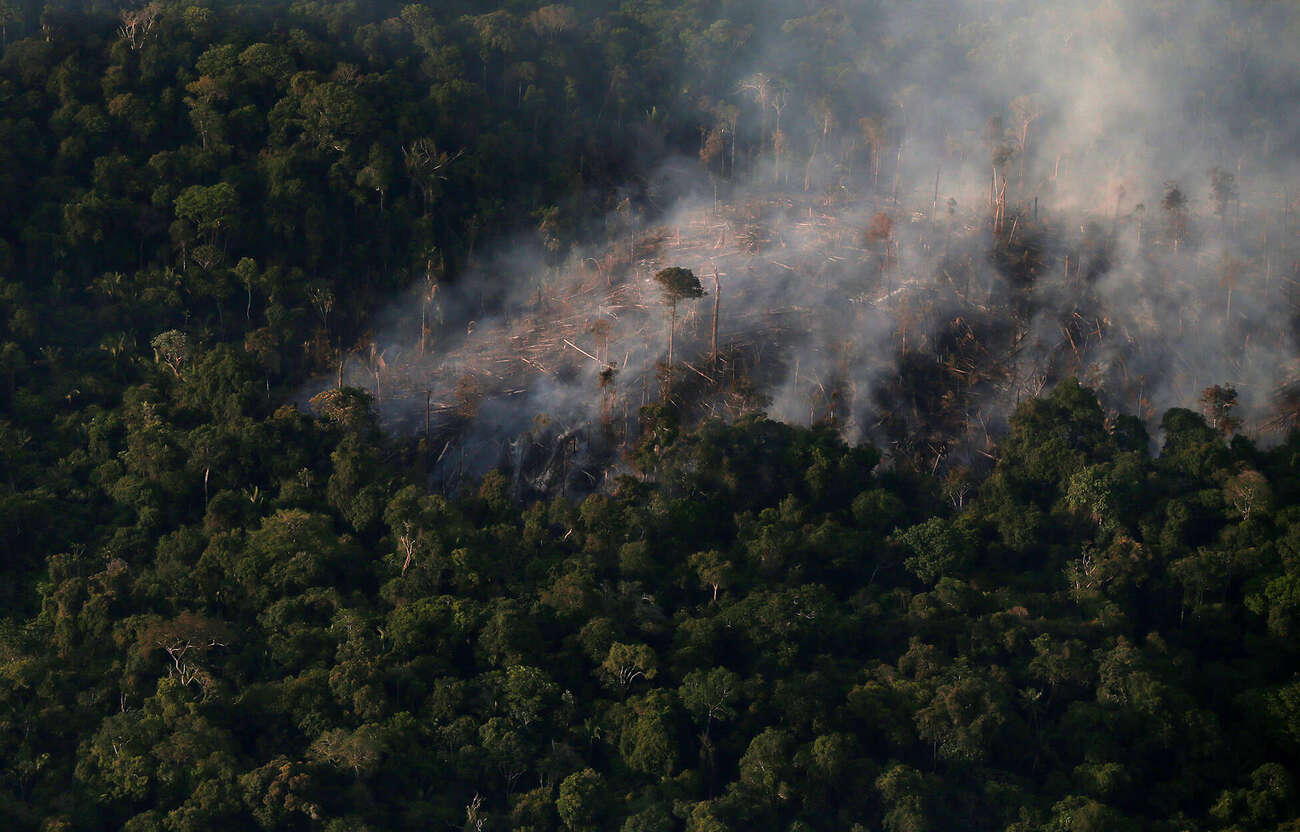Stretch of felled trees in Brazilian Amazon