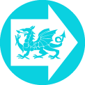 Reform Party UK party logo