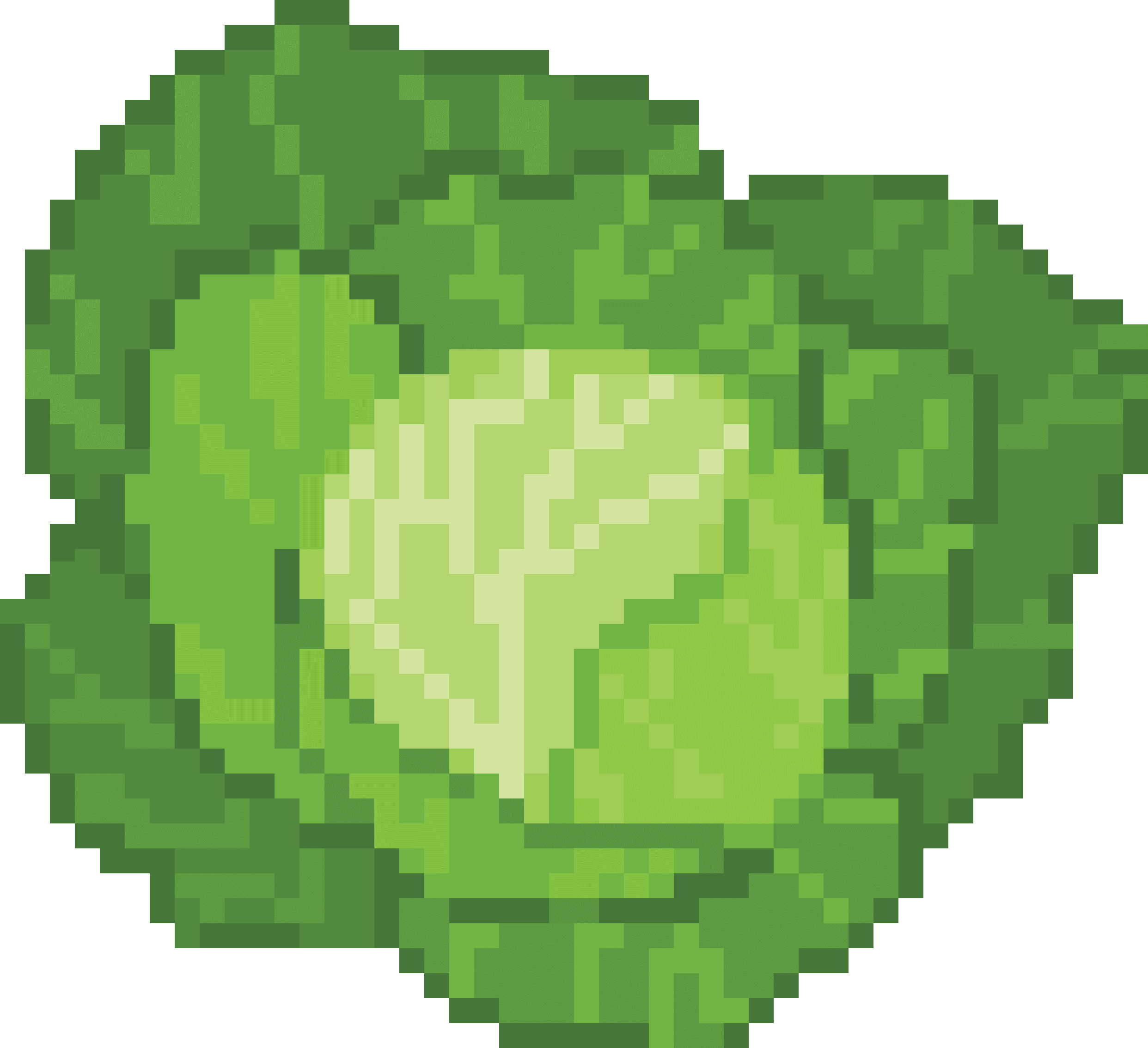 food-cabbage.png?v=13