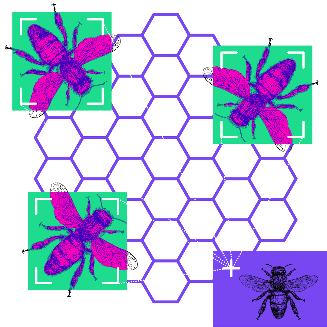 Ilustración de un panal con abejas resaltadas.