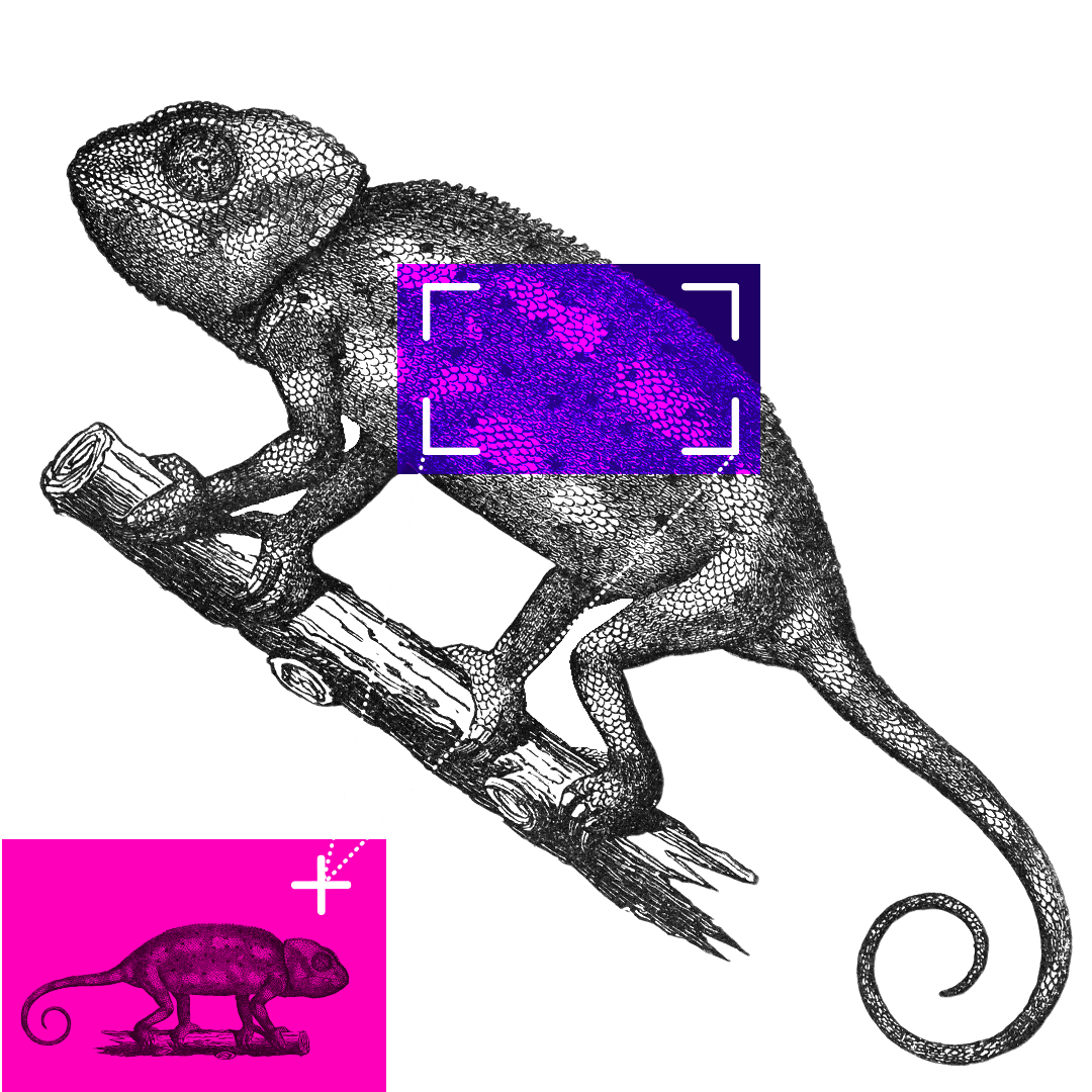 Ilustración de un camaleón con el dibujo de su piel resaltado.