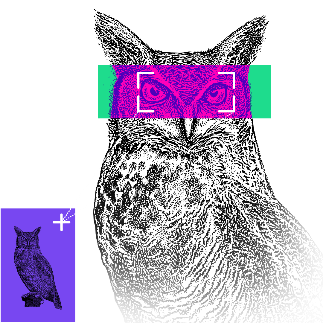 Illustration of an owl with its eyes highlighted.