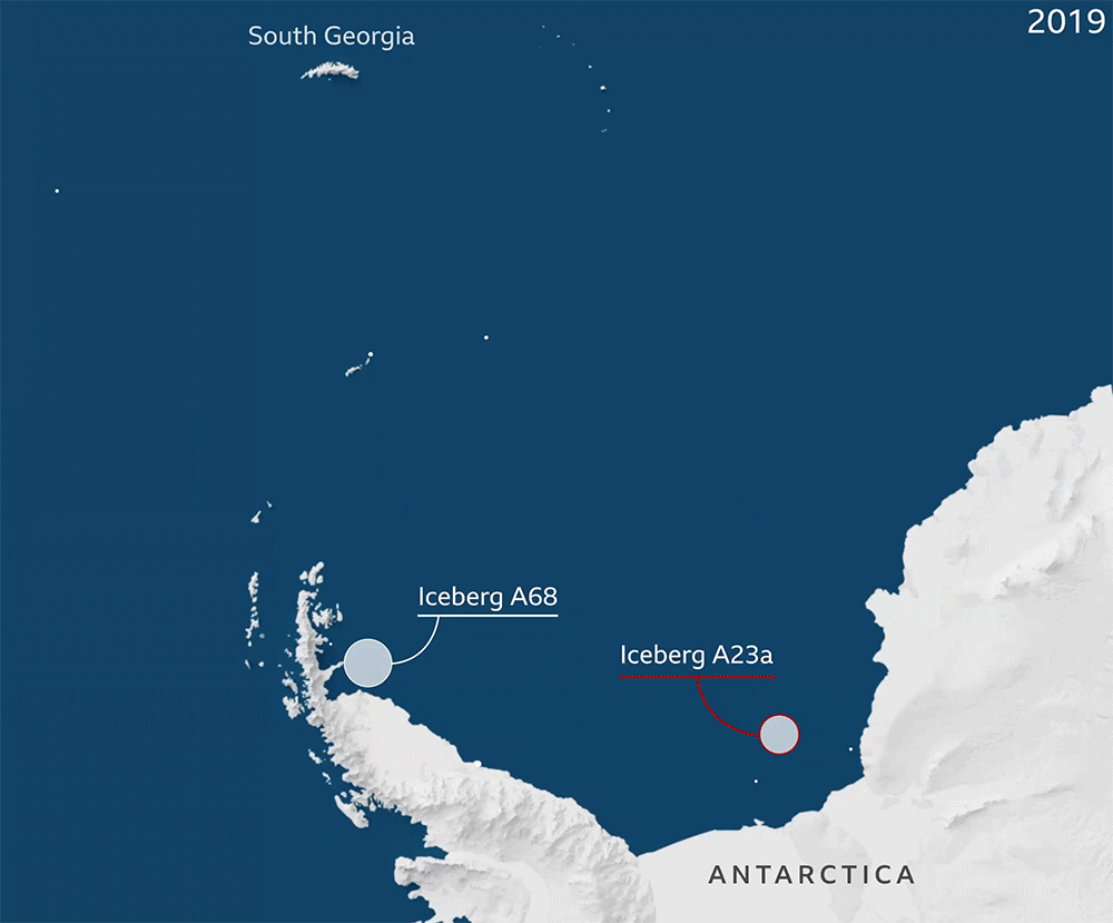 An animated graphic showing the paths of several large icebergs since 2020. They are pushed by the Weddell Gyre northwards towards South Georgia