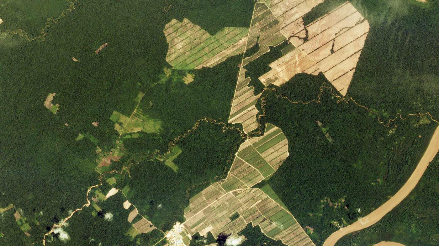 Repeated shots can reveal changes such as deforestation here in the Amazon