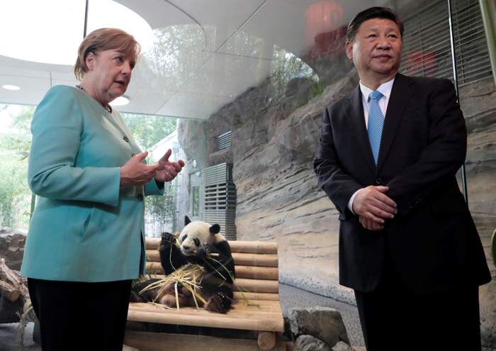 Merkel and Xi Jinping open the panda enclosure at Berlin Zoo