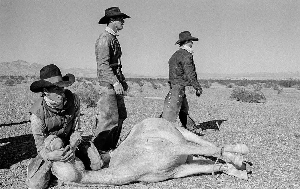 Round-up of the last wild horses in Arizona desert, 1980, Hurn
