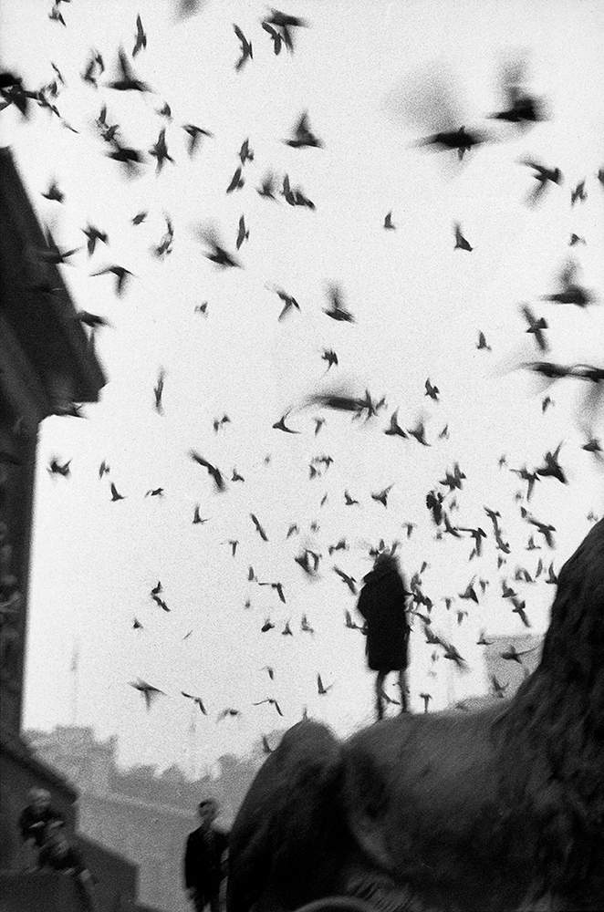 Trafalgar Square, part of a photo essay on London shot by Larrain in 1958-59