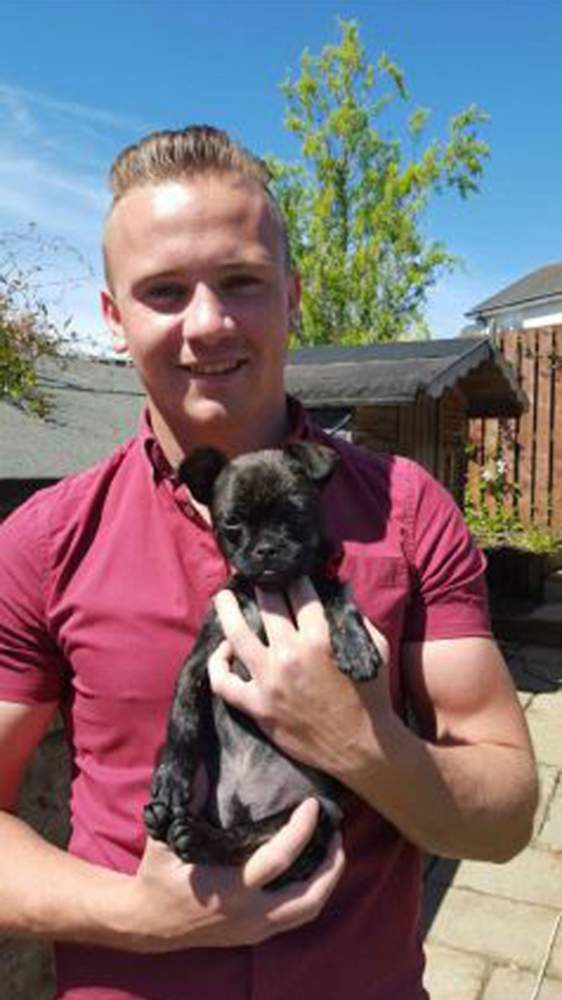 Corrie had left his puppy Louell in his room before going out