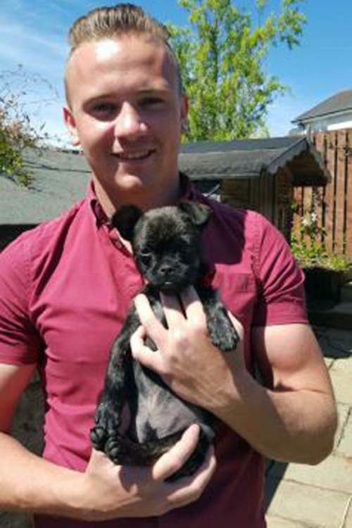 Corrie had left his puppy Louell in his room before going out