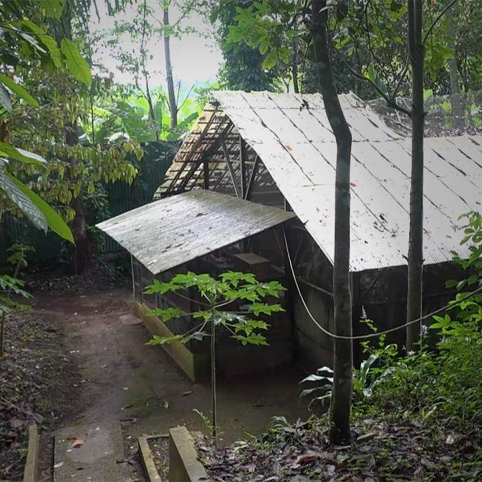 Cikananga Conservation Breeding Centre