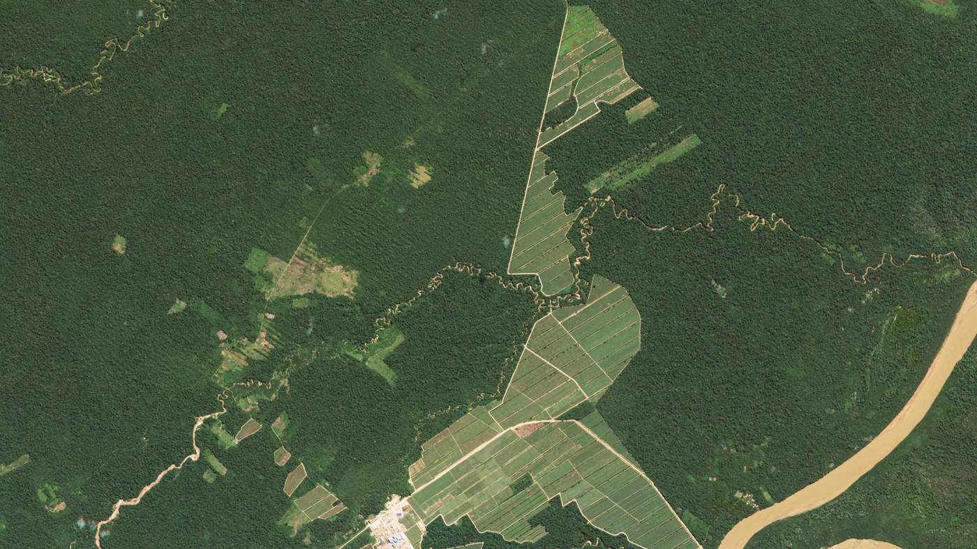 Серія знімків показує динаміку вирубки лісів Амазонії 