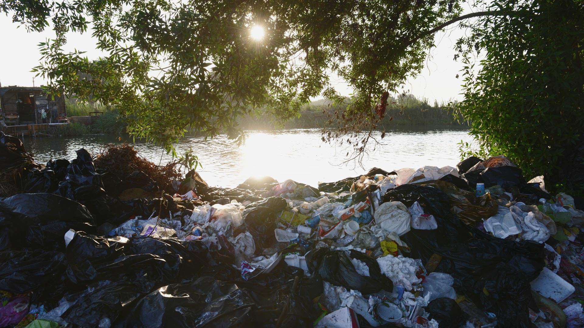 موت نهر النيل BBC News Arabic تصفح