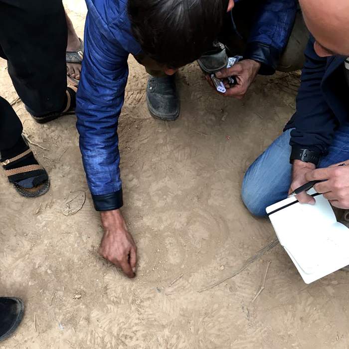 Sürücülərdən biri karvanın marşrutunu cızmağa çalışır Sürücülərdən biri karvanın marşrutunu cızmağa çalışır