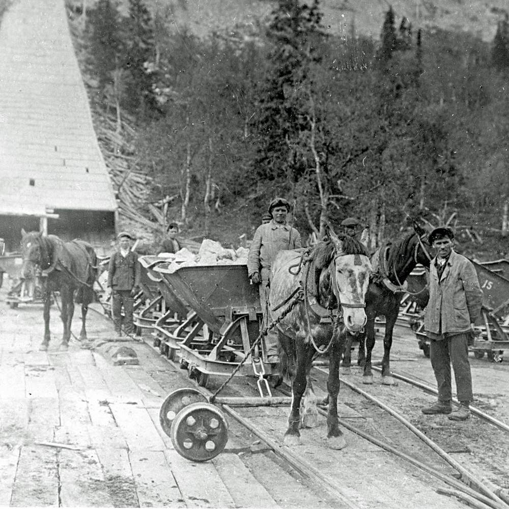 Horses transporting the ore in the 1930s