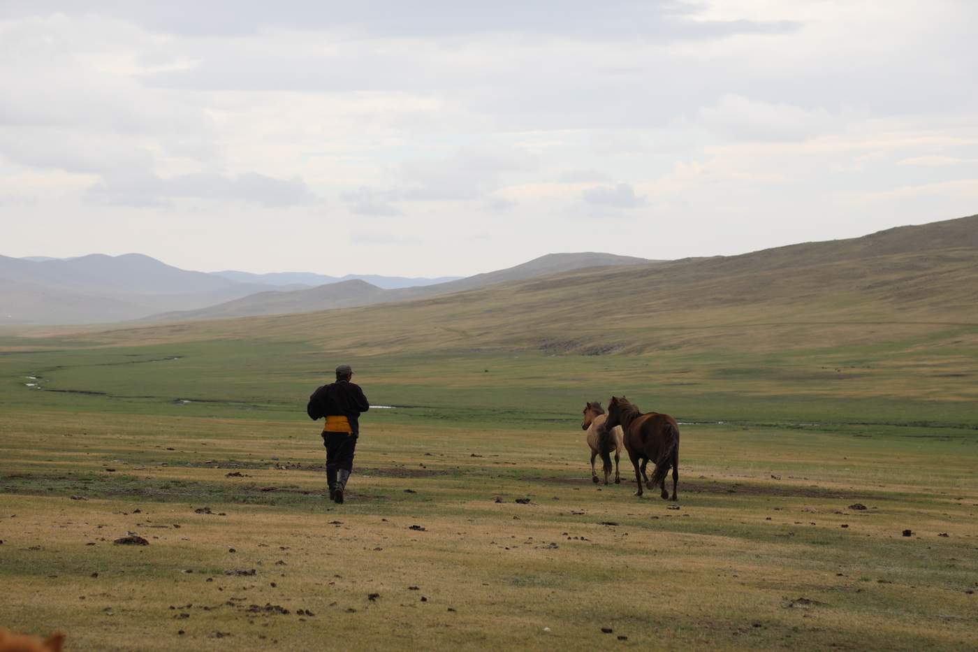 Modern Women In The Land Of Genghis Khan Bbc News