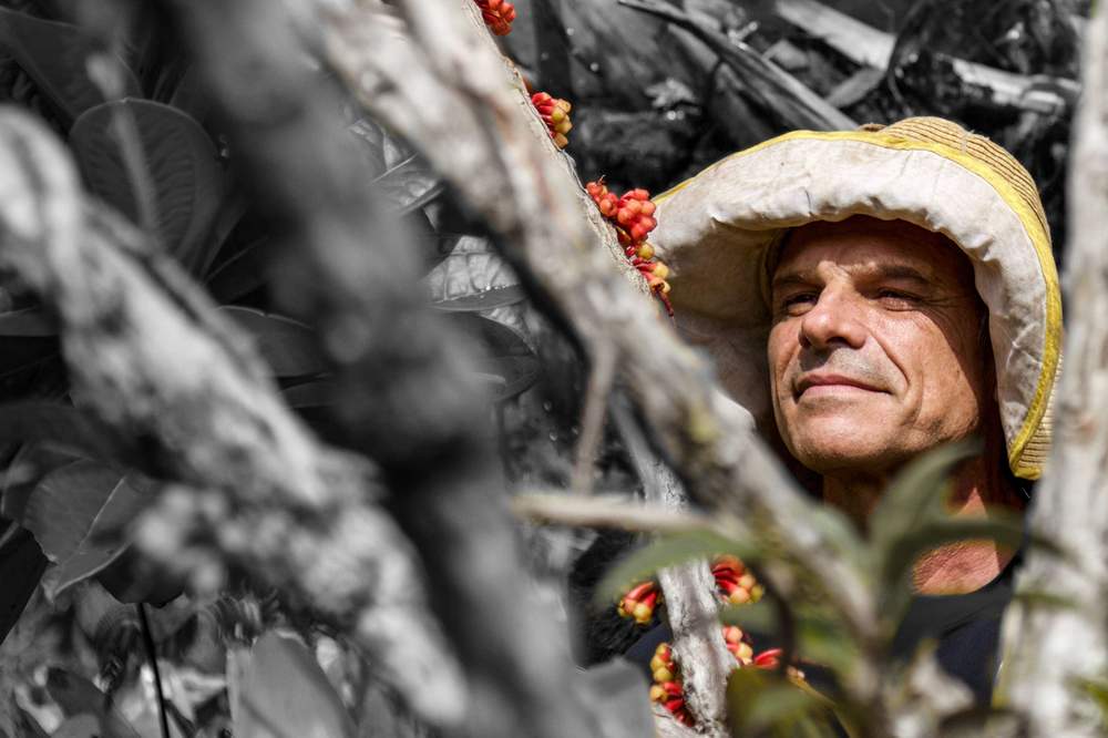 ศ.เฮนาโต จิ เมลโล ซิลวา&amp;nbsp;