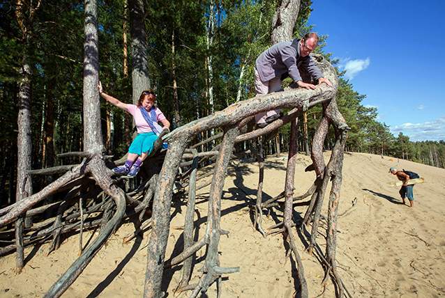 Сестрорецкие дюны