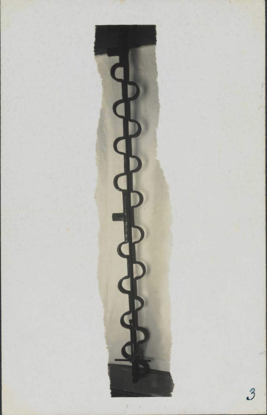 Tronco de ferroBiblioteca Nacional