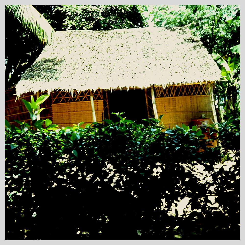 Căn nhà của mẹ Túy tại Sa Đéc, 1993 Căn nhà của mẹ Túy tại Sa Đéc, 1993