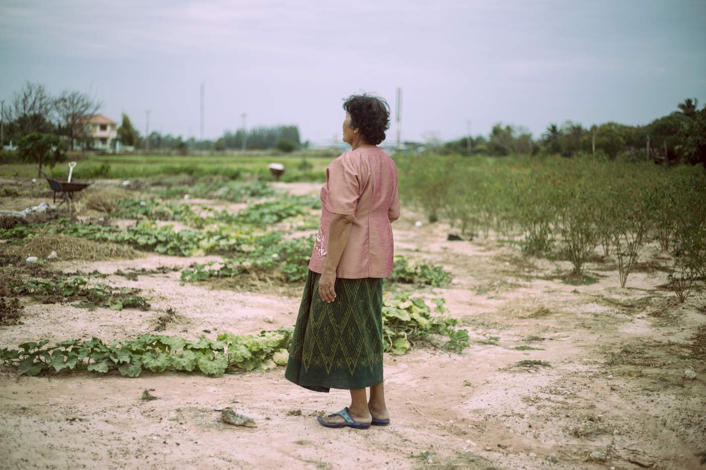 ยายของอภิญญาที่ชัยภูมิ (รูป : อภิญญา จตุปริสากุล)