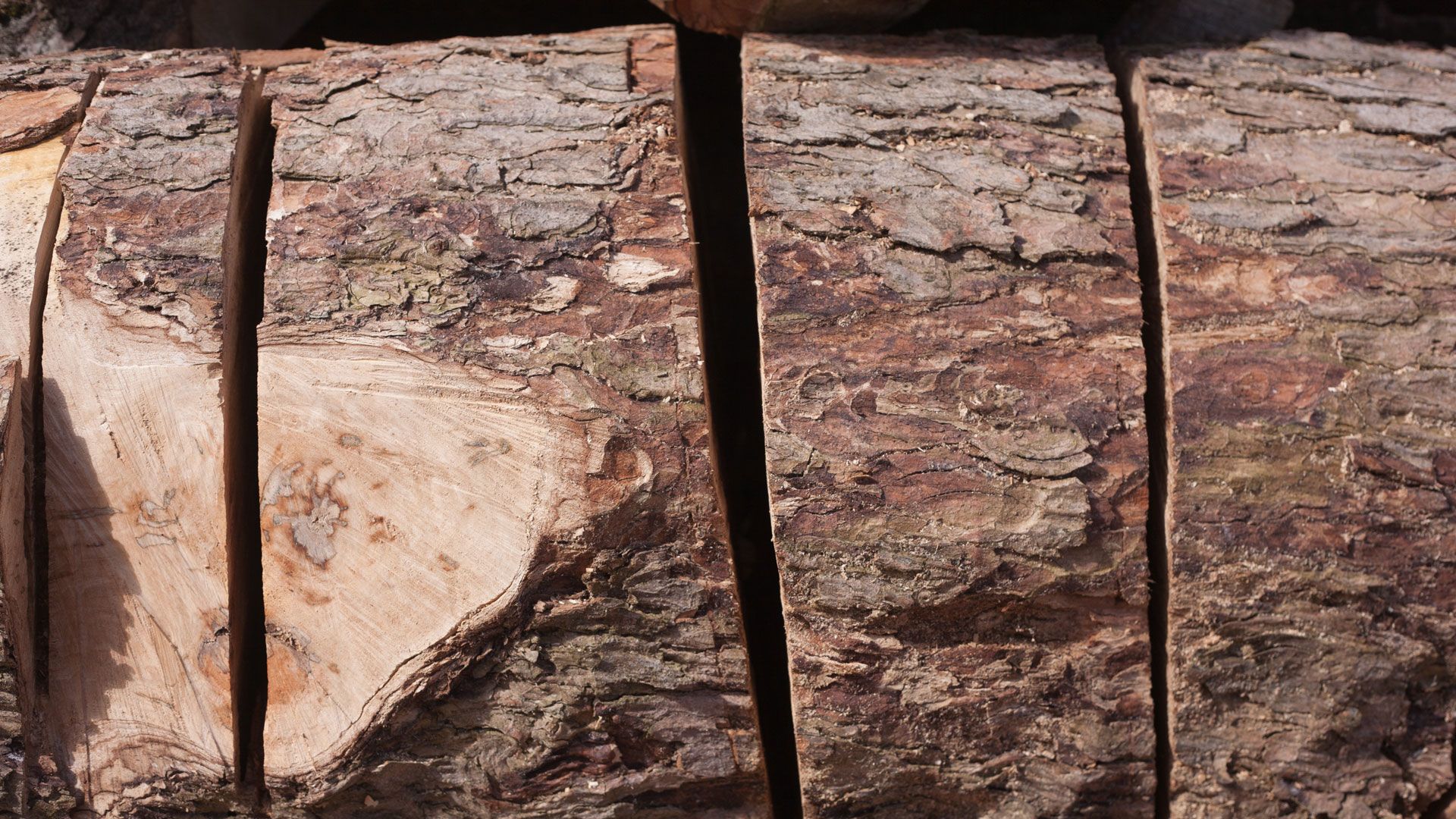 Block of wood